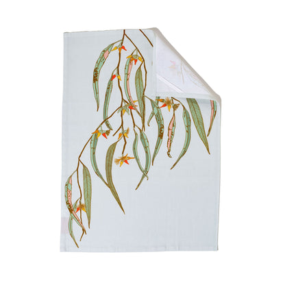 River Red Gum Gift Set