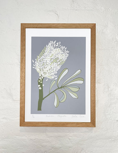 Banksia Marginata Print on Paper